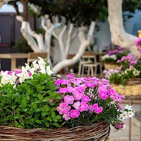 La Sommita Relais & Chateaux Hotel Ostuni